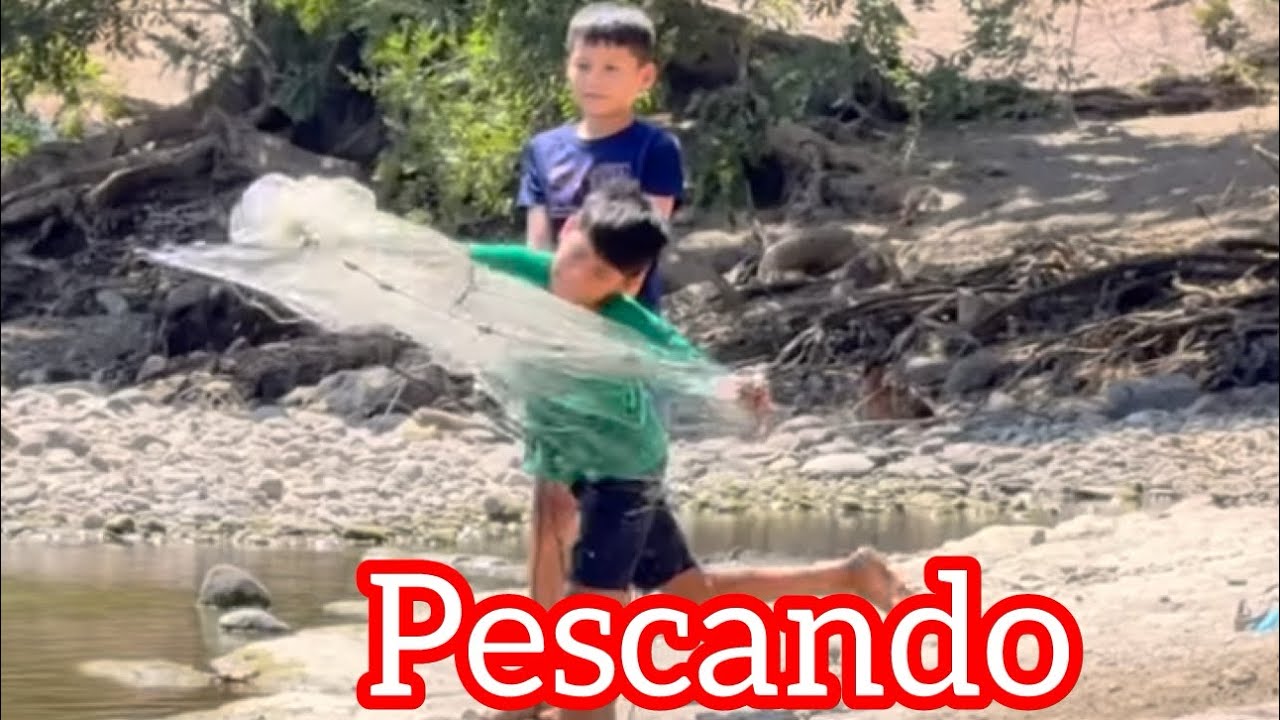 //•	•La criatura con la boca más rara!🙀Balbin disfrutando al máximo 🏖️