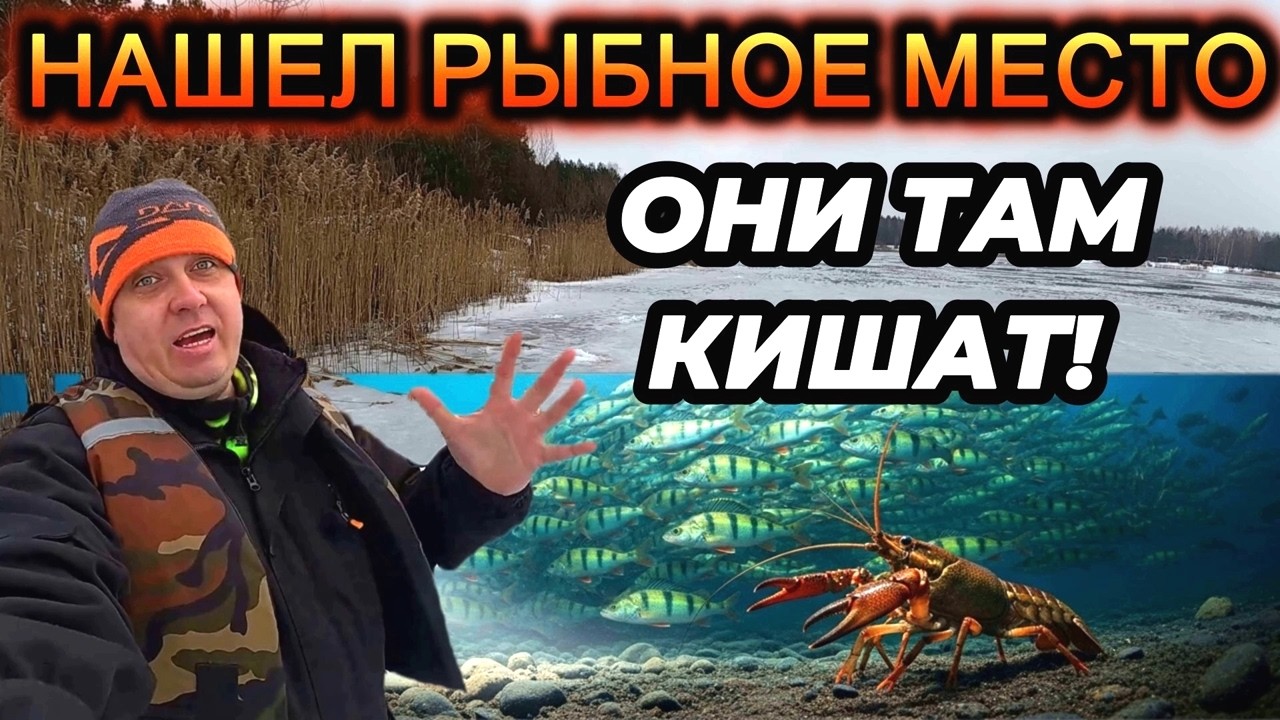 За 40 лет рыбалки вижу такое первый Раз! Опустил камеру в озеро а там ТАКОЕ...