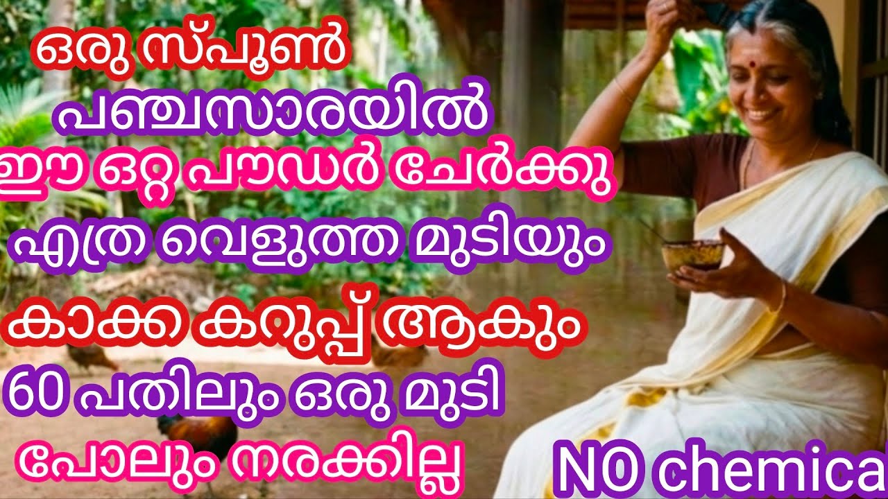 വെളുത്ത മുടി വേരോടെ കട്ട കറുപ്പ് ആകും #Natural hair dye malayalam #Hair dye #Hair care 