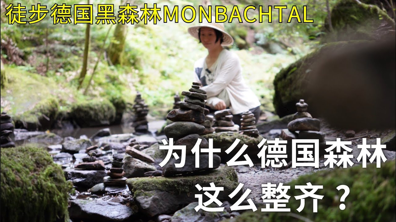 为什么德国森林这么整齐?- 徒步德国黑森林Monbachtal
