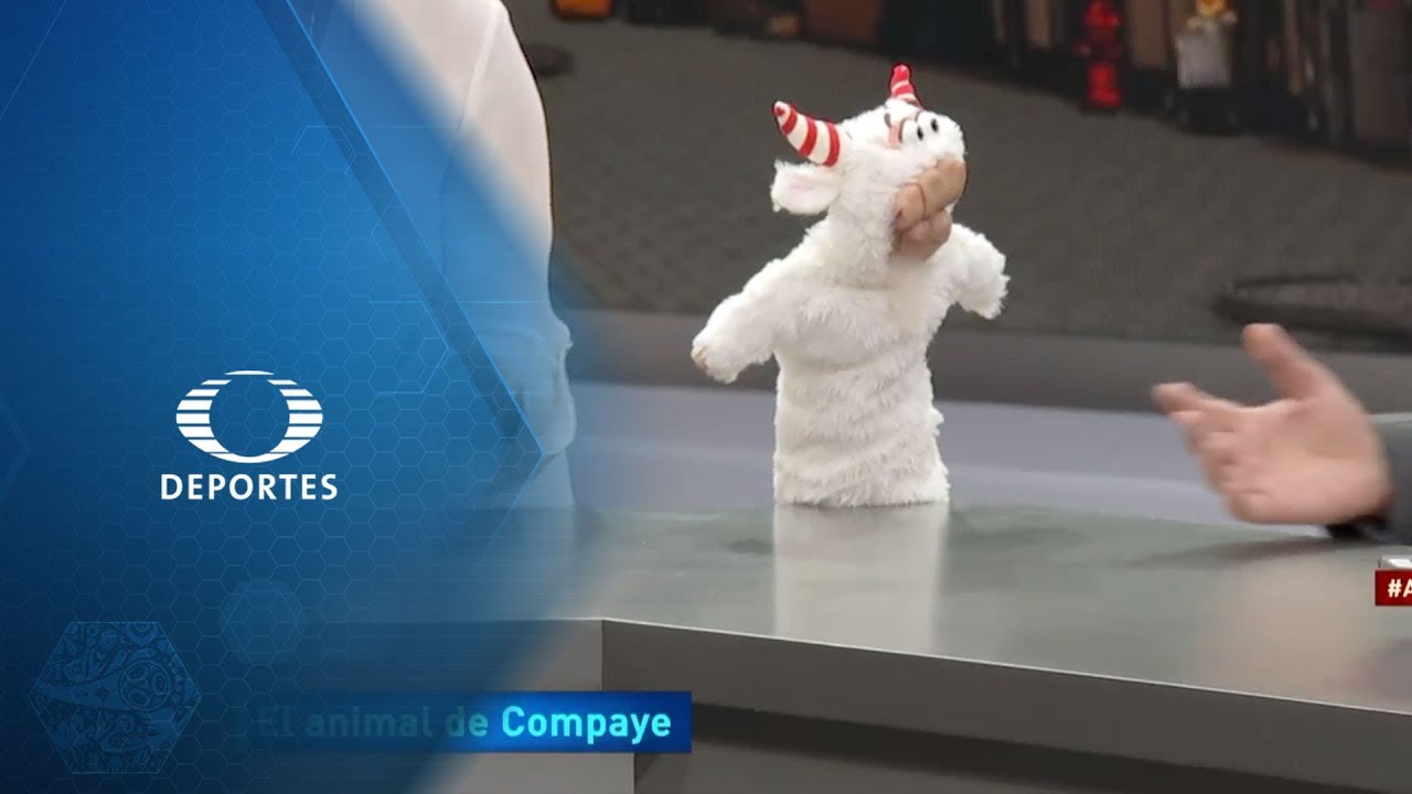 El Chivo | El animal de Compaye | La Jugada del Mundial