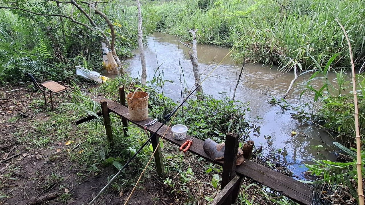 CEVA TA BRUTA TE MILIHO A VONTADE PROS PEIXES!!! 