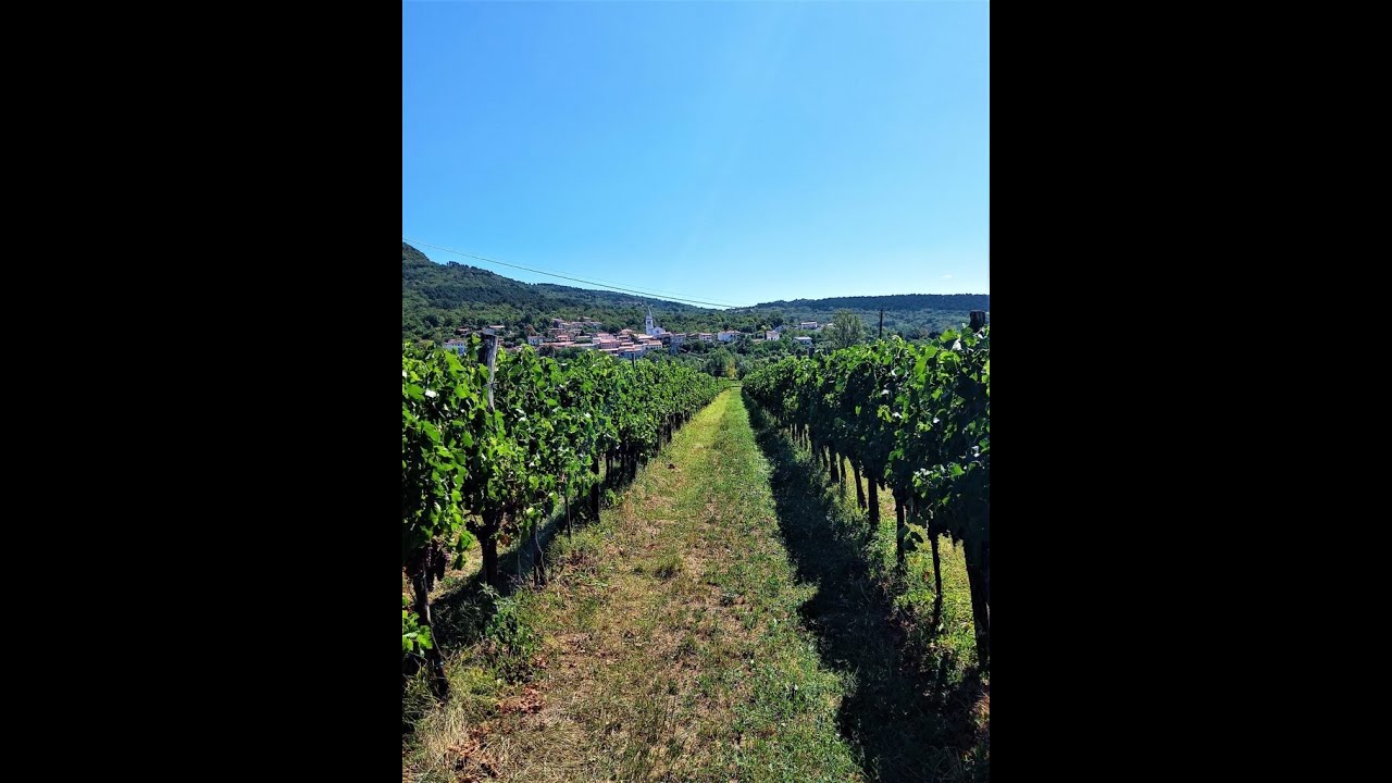 Dolina Vipavy - magicznej Słowenii ciąg dalszy   #wino #słowenia #podr&oacute;że #travel #vipava