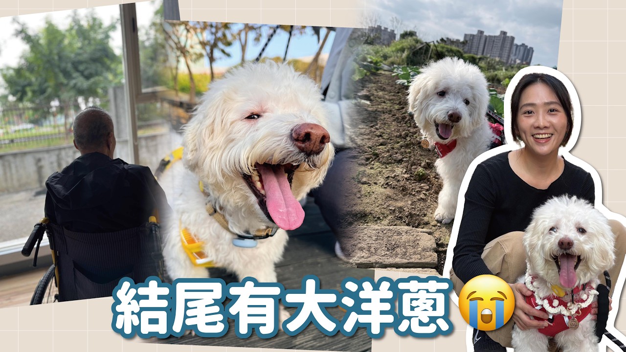 小乖現在很好！爺爺知道後的反應？｜頻道會員救援計畫