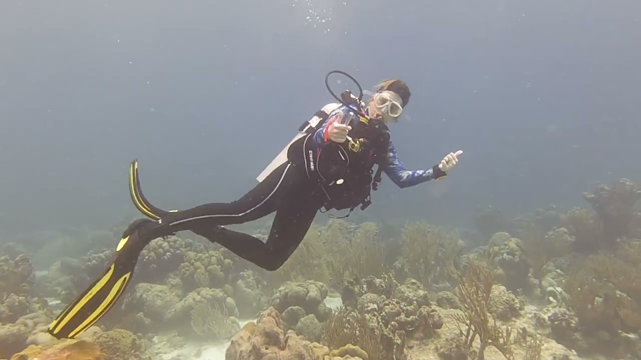 SALT PIER2 TORIS REEF CARMEN
