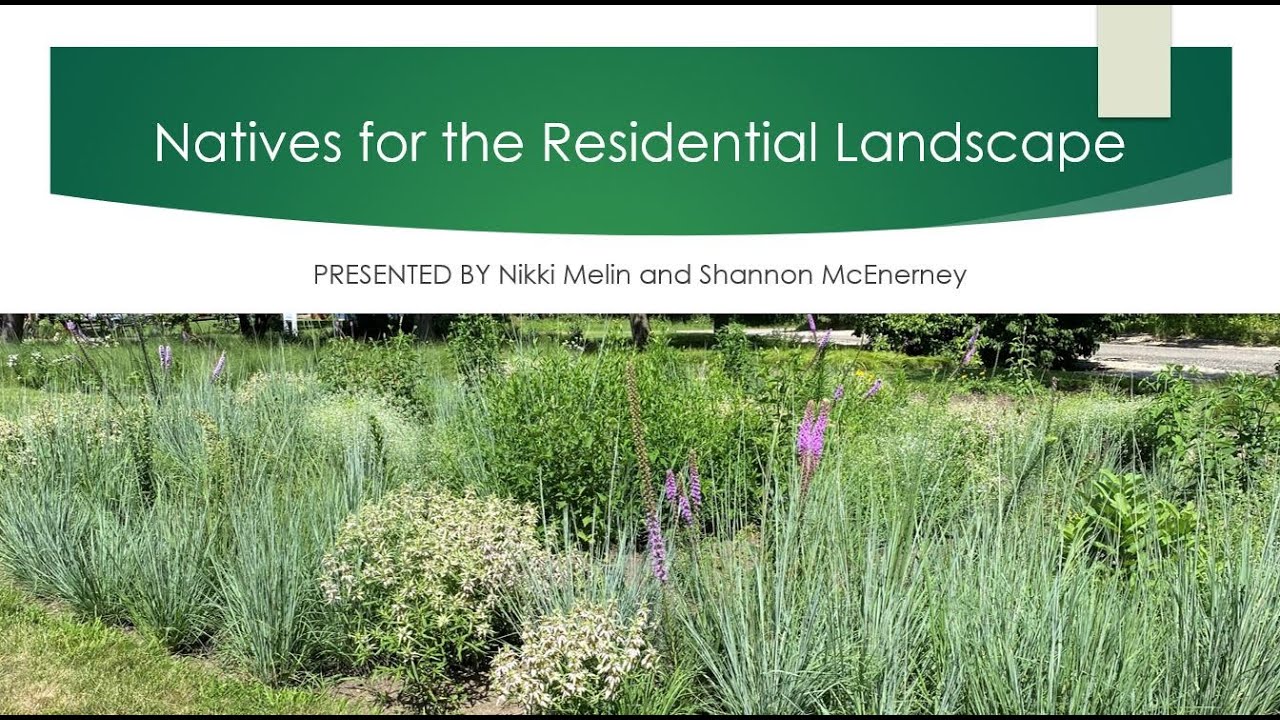 Natives for the Residential Landscape