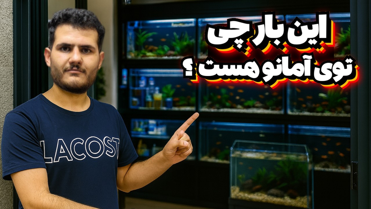 آمانو گردی موجودی جدید مغازه آمانو