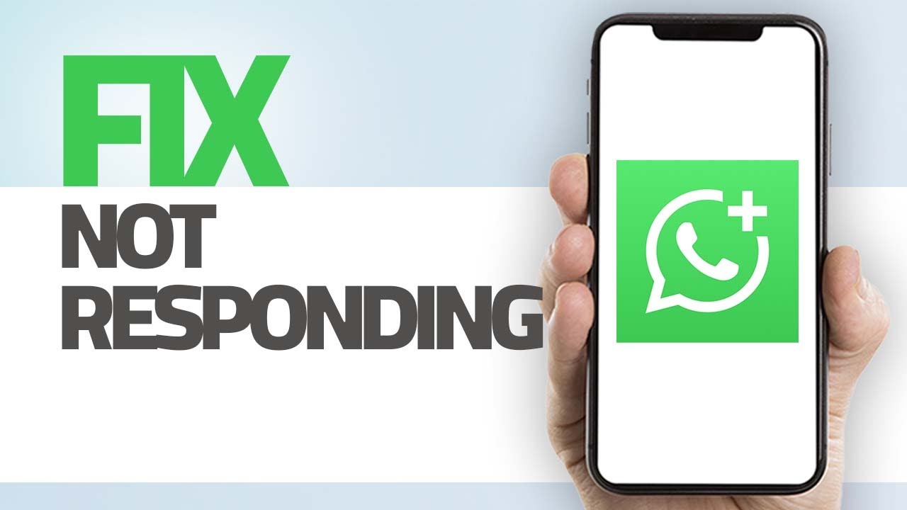 Как исправить ошибку &laquo;Приложение не отвечает&raquo; в WhatsApp Business | Пошаговая инструкция