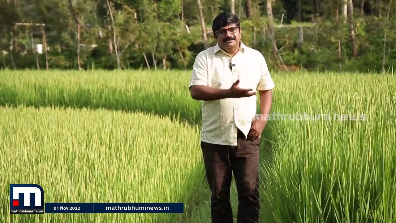 കർണാടകത്തിലെ 'മിനി കേരളം'; നരസിംഹരാജപുരയിലെ മലയാള രാജ്യം - പ്രത്യേക പരിപാടി | Kerala Piravi