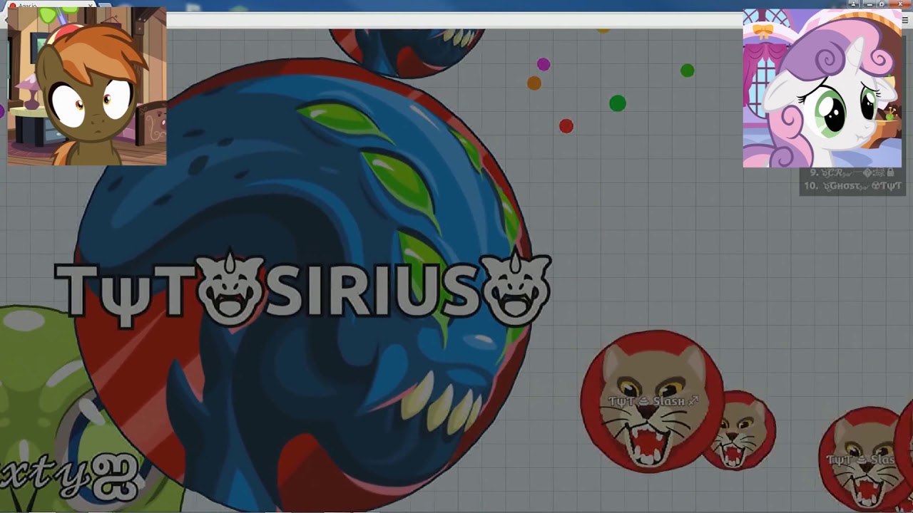 Баттон Мэш и Свити Белль играют в Agar io.