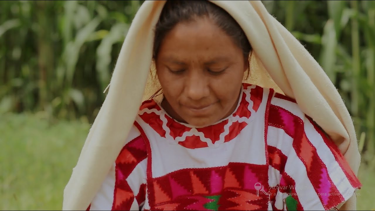 Raíces De Tlaxiaco - Pulque Bendito ( Video Oficial )