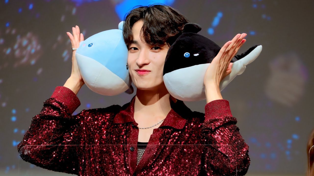 220724 세븐틴 팬사인회 Q&A 포토타임 도겸 직캠 SEVENTEEN FANSIGN DK FOCUS