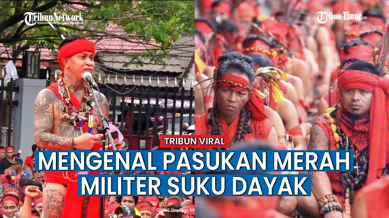 Fakta fakta Pasukan Merah, Pasukan Elite yang Mendiami Suku Dayak