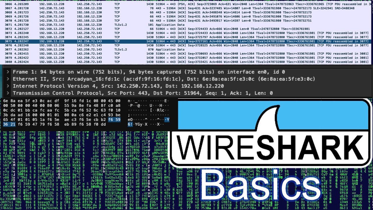 Wireshark Basics: Wireshark I