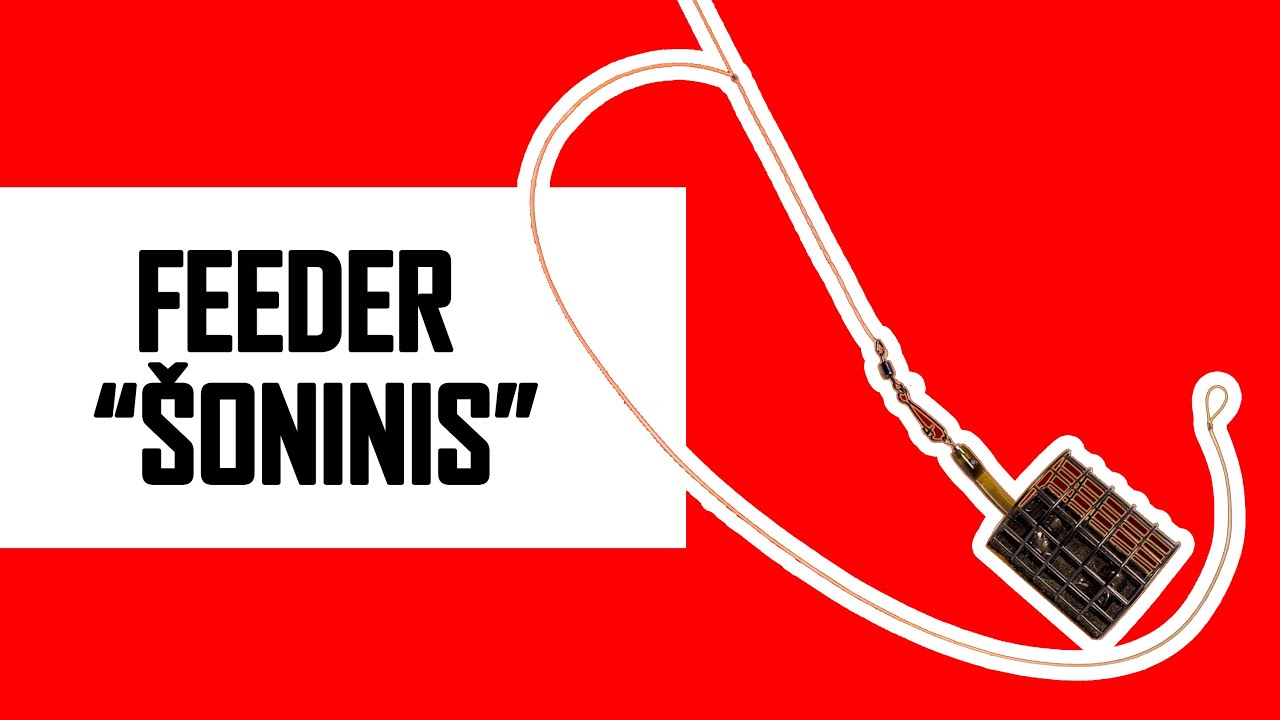 Kaip surišti FEEDER SISTEMĖLĘ-PATERNOSTERĮ žvejybai?