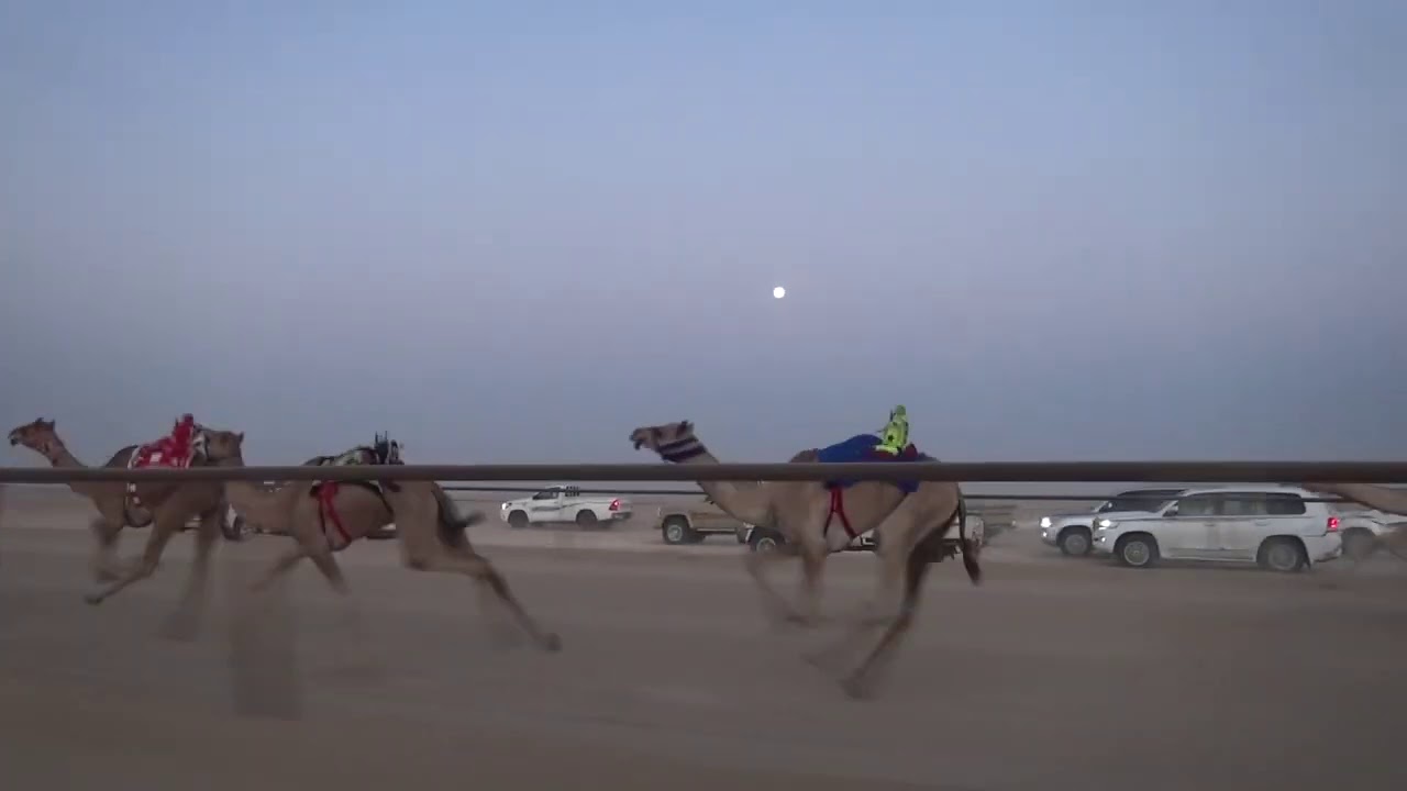 1 مهاجرة ملك سعيد بن علي بن رايه