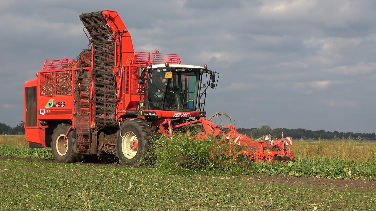 Suikerbieten rooien bij Nijboer met een Vervaet Q621 en New Holland T7.230 AC (2022)