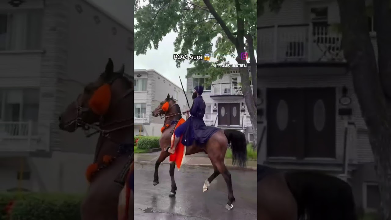 The Majestic King Charat Singh never misses beat #horse #punjab#canada #nihang #singh #punjabireels