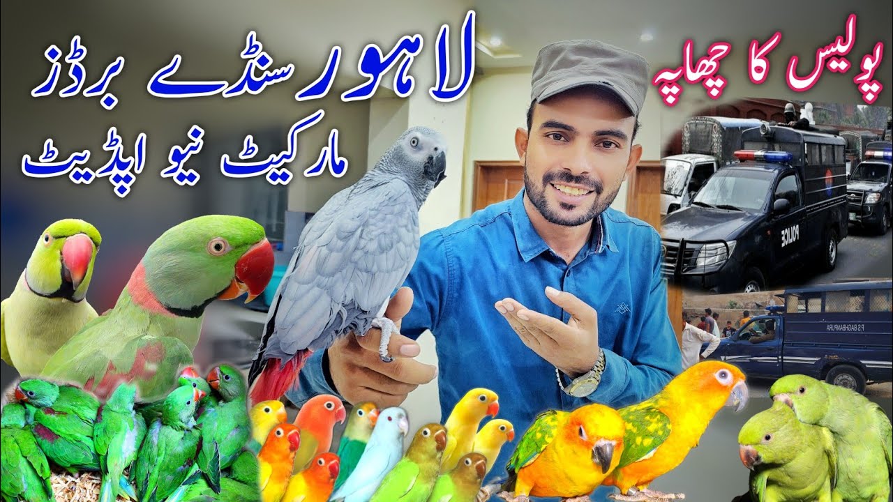 Police Ka chapa Lahore Sunday Market BAND 😭   New update 27-10-2024  #lahorientertainmentchannel