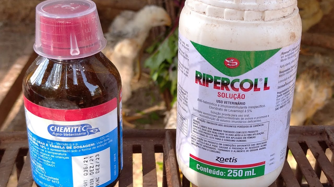 Problemas respirat&oacute;rios gripes rouquid&atilde;o ,meus aliados na cria&ccedil;&atilde;o 🐤🐔