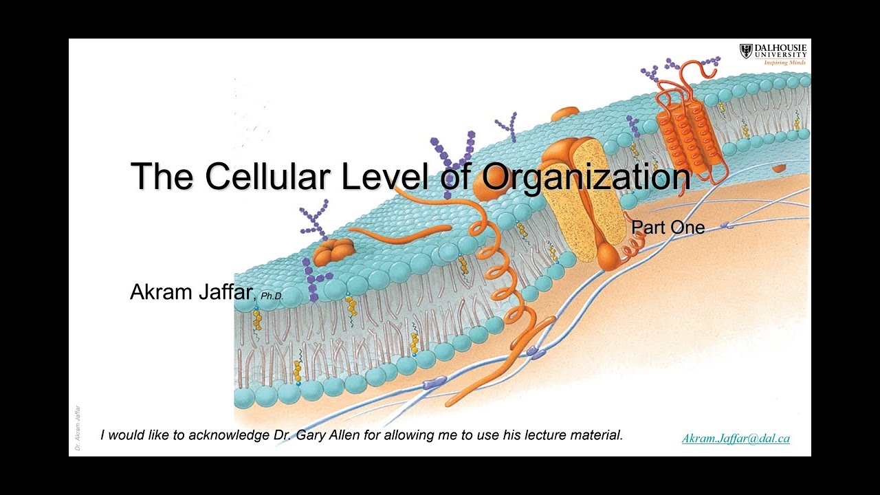 ANAT1010_2_Cell1 + Anki flashcards