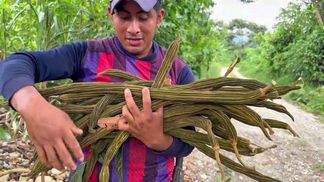 Esta son las guabas mas ricas que no me canso de comer
