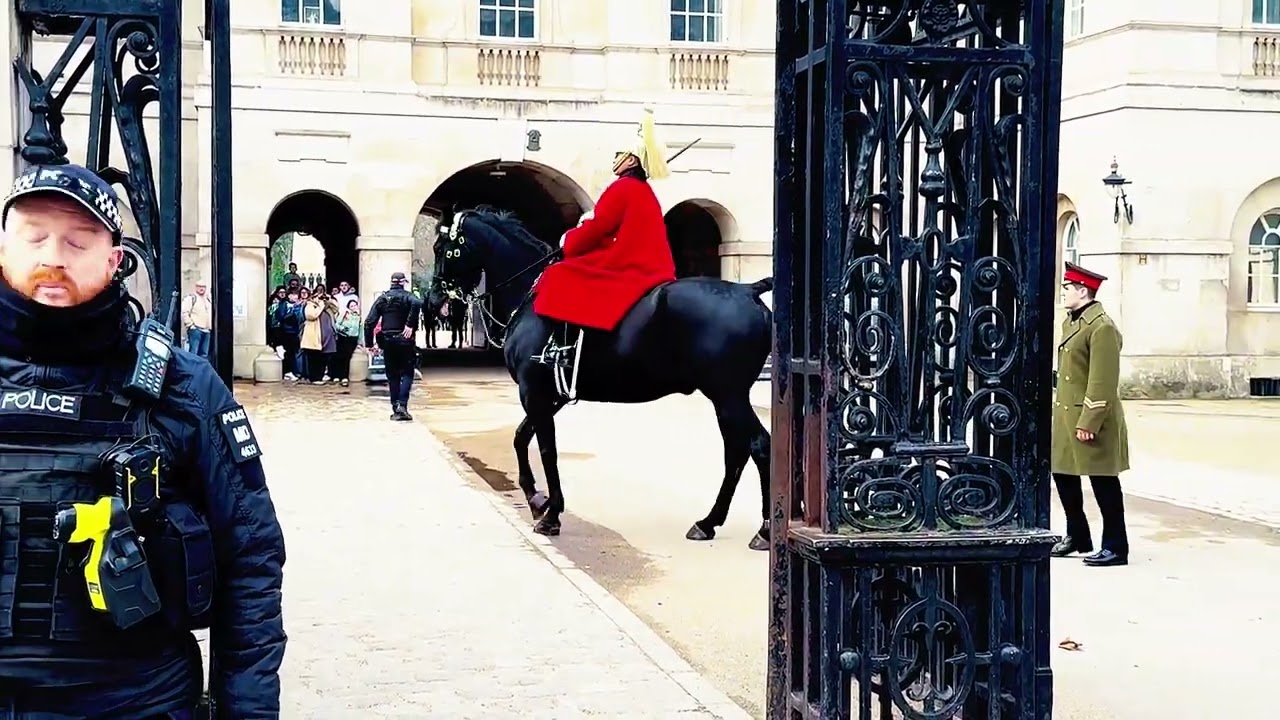 King’s Horse Seems Unwell — Quietly Backs Out of the Box 😳🐴 | London #horseguards  #animallovers