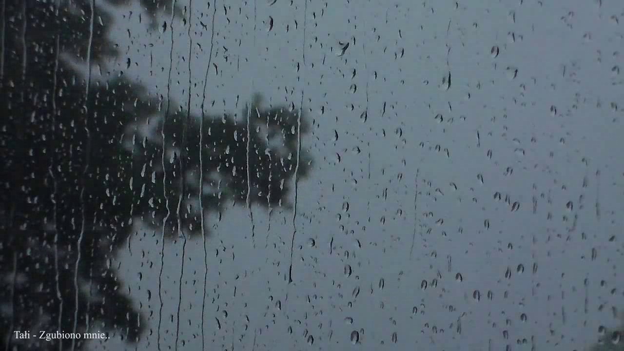 Tałi - Zgubiono mnie