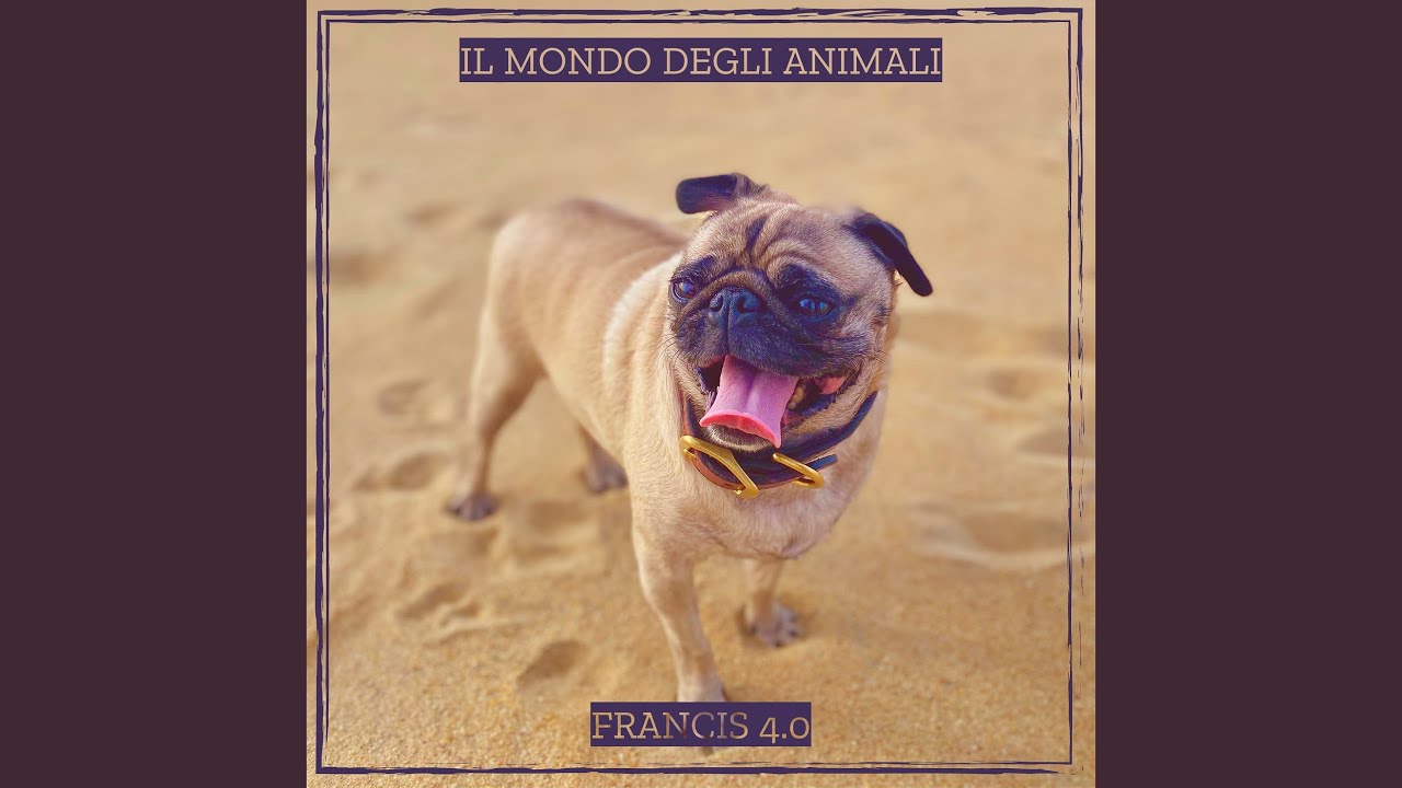 Il mondo degli animali