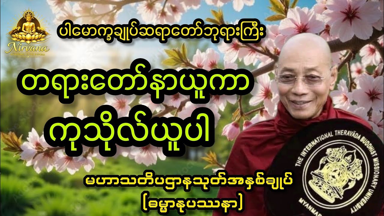 (ဓမ္မာနုပဿနာ)မဟာသတိပဌာနသုတ် အနှစ်ချုပ် #buddha #youtube #တရားတော်များ 