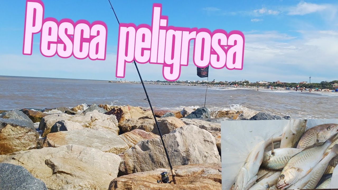 Pesca de corvinas  rubias  ,burrequetas en las toninas.