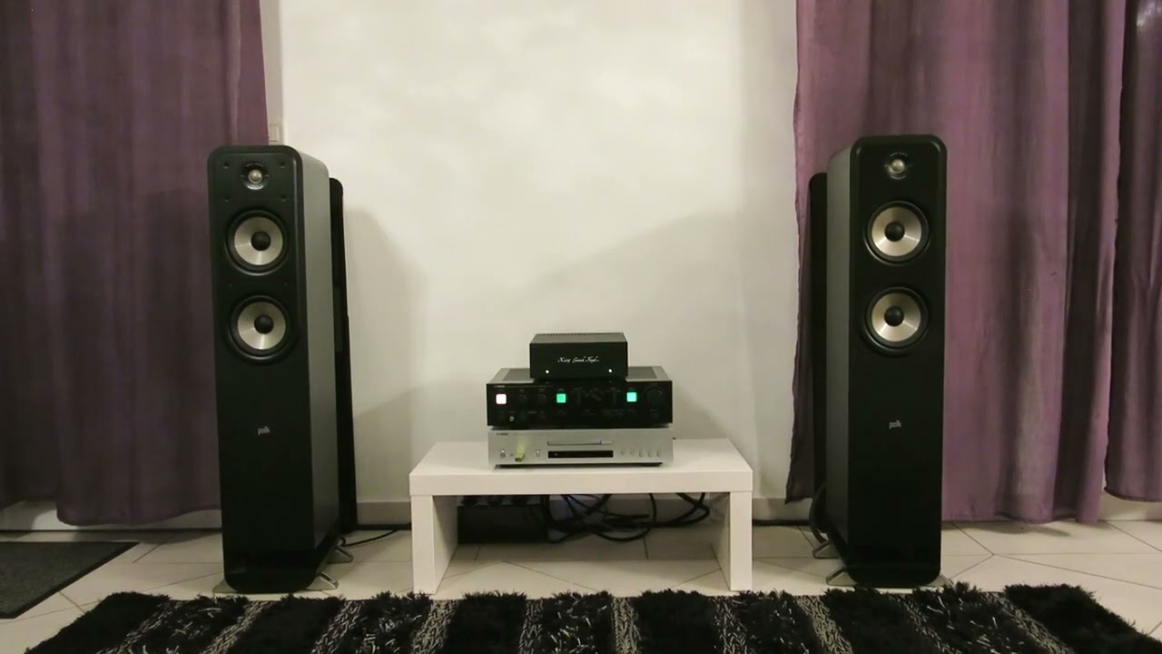 Polk Audio s55e signature
