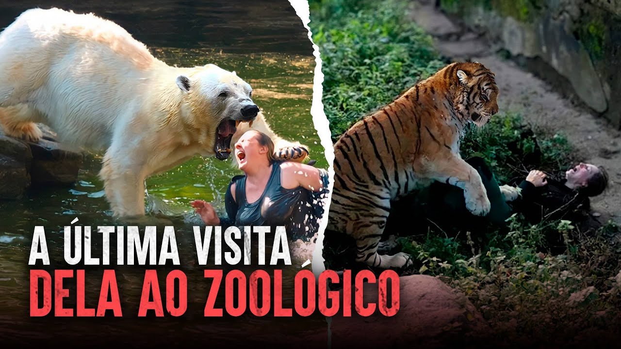 Os ataques mais mortais em zool&oacute;gicos: Quando os animais atacam de volta