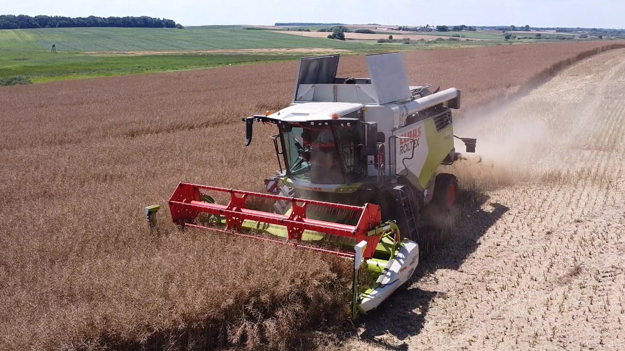🇵🇱 ŻNIWA RZEPACZANE 2024 ✔ CLAAS TRION 520 & JOHN DEERE 6930  W AKCJI ✔ GOSPODARSTWO ROLNE BUCZAK
