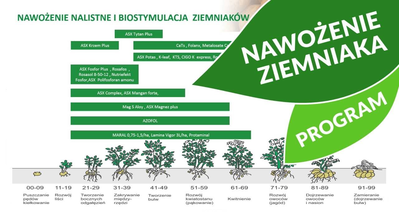 Optymalny program nawożenia ziemniaków. Konferencja Ziemniaczana 22.01.2021
