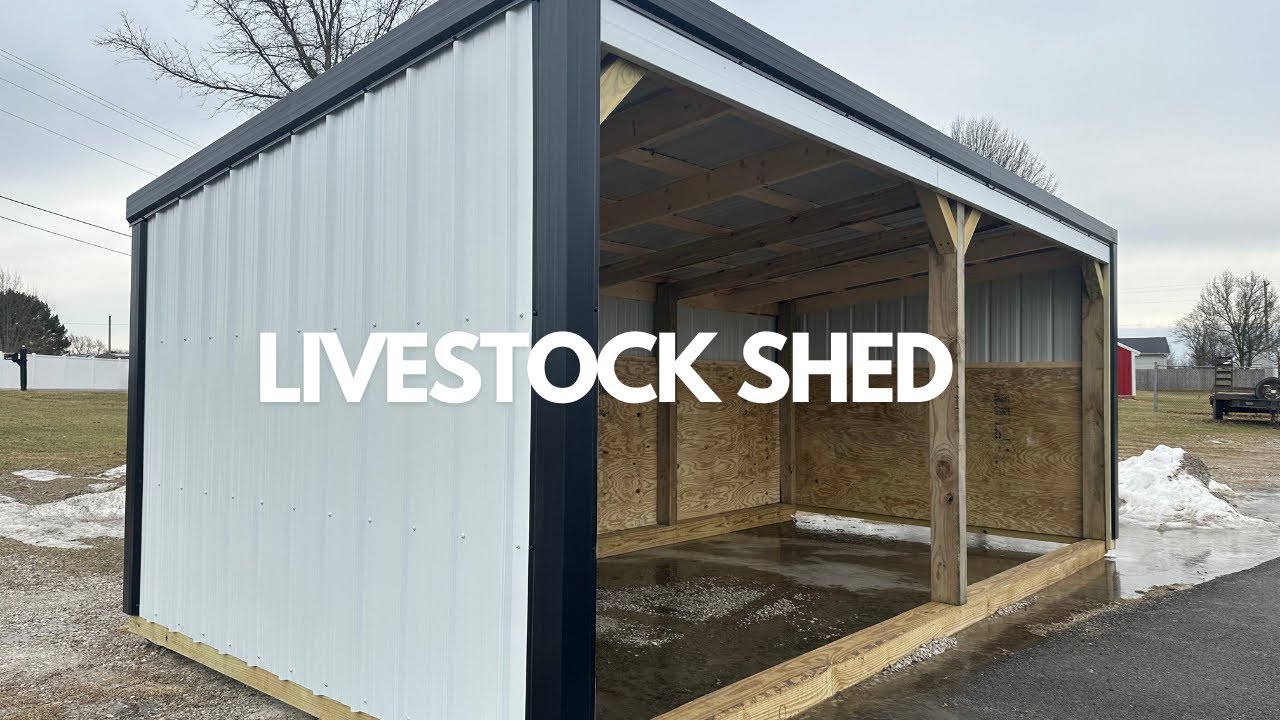 9x18 Livestock Shelter:  plywood lined interior and 6x6 treated posts on skids | Barn Plans..