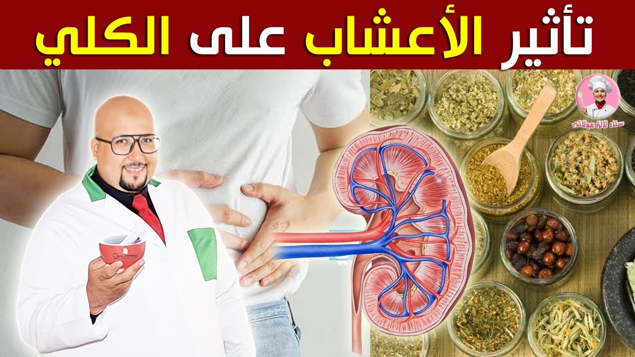 هل الاعشاب تؤثر على الكلي؟ الأعشاب المفيدة والمضرة للكلي مع الدكتور عماد ميزاب