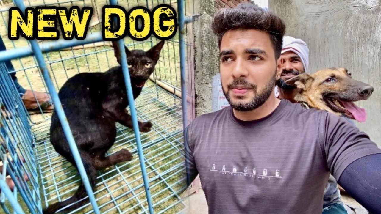 KAALI BILLI ke Saath Ye Kon Agya 😧