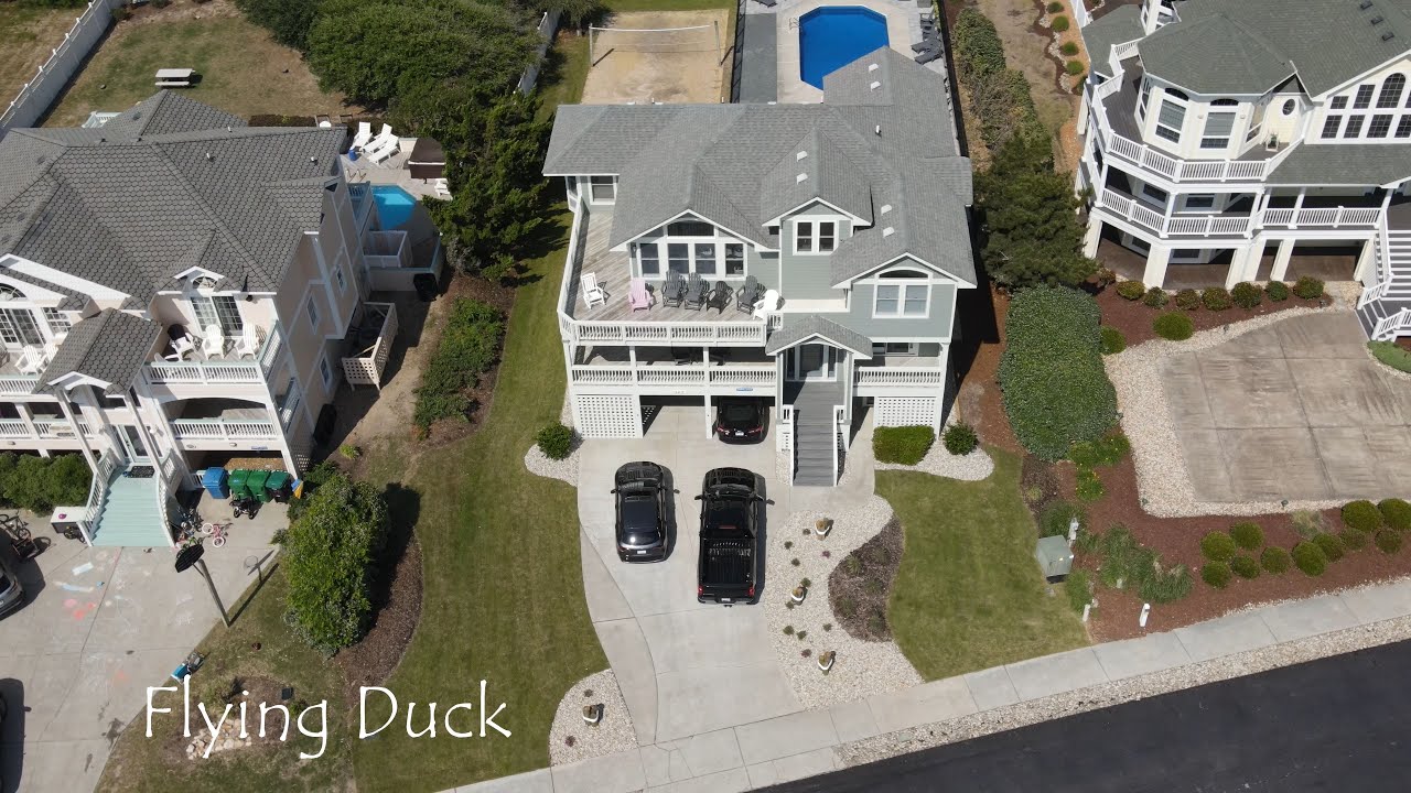 Flying Duck
