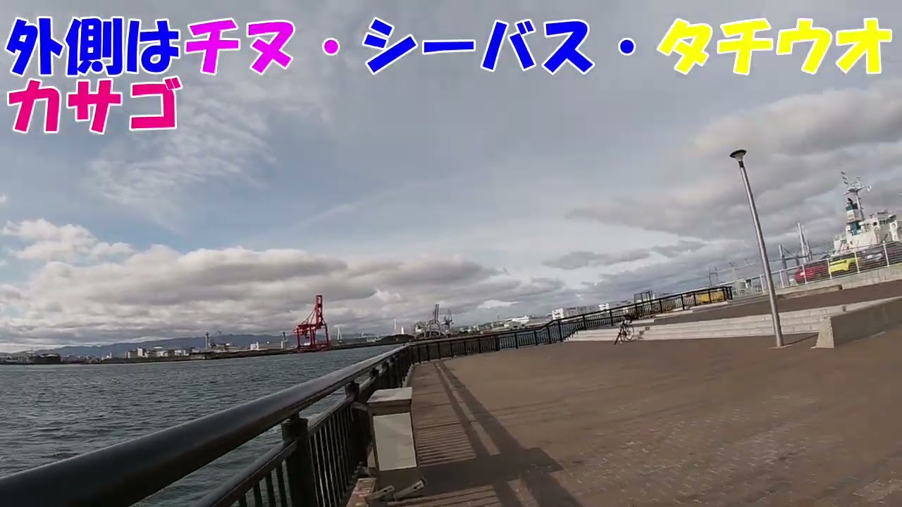 リニューアルした大阪港の釣り場釣れる魚