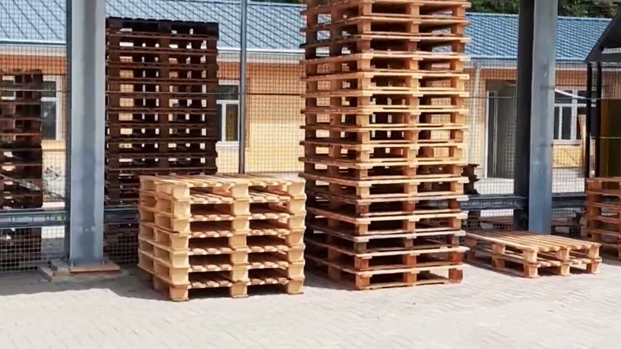 Multi Pallet Sorting Line