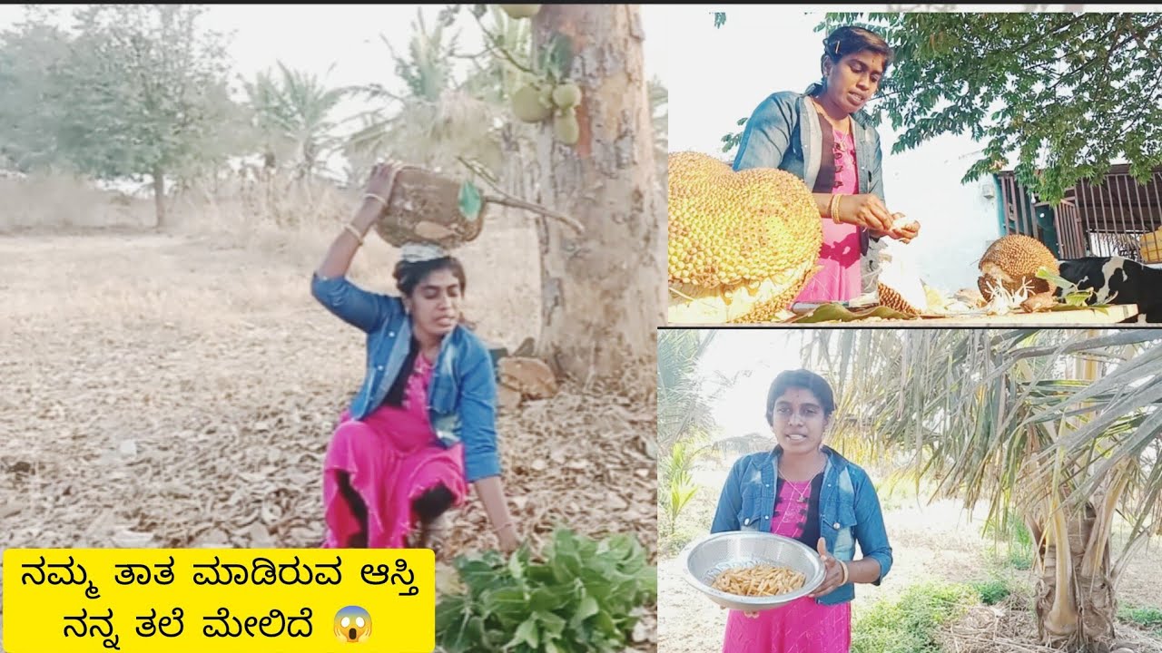 ನಮ್ಮ ತಾತ ಮೊಮ್ಮಕ್ಕಳಿಗೆ ಮಾಡಿರುವ ಆಸ್ತಿ 🤑 