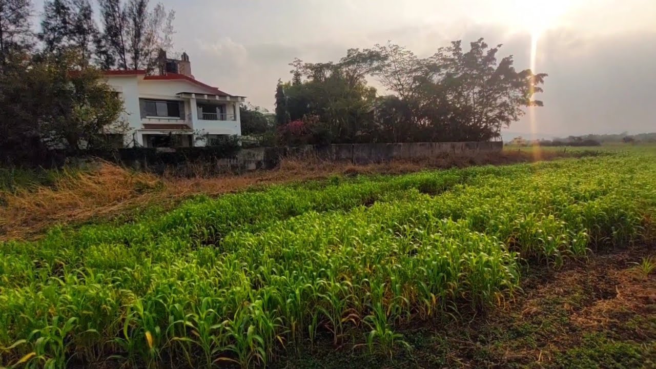 Residential Road touch plot for sale in Agricultural land's rates | In Malavali lonavala