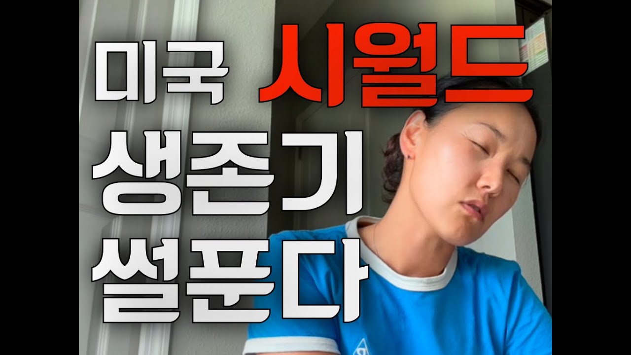 미국판 시월드/ 미국 주택 구입 이유/  다이슨 최신형 v15후기/시댁살이 끝 / 미국 집 투어