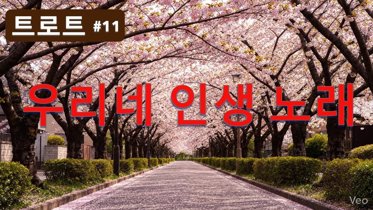 [트로트 #11]  🌅 가슴이 미어지는 허스키 보컬... 인생의 옹이를 달래주는 힐링 노래 16곡 모음 🥃 고단한 삶을 다독이는 위로의 보이스 🕯️ 당신의 마음을 적실 인생가