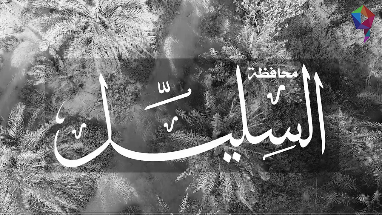محافظة السليل | تاريخ و اَثار و مستقبل واعد