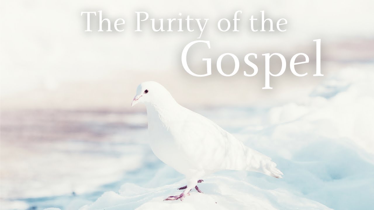 The Purity of the Gospel (Guest Speaker Mike Gendron)