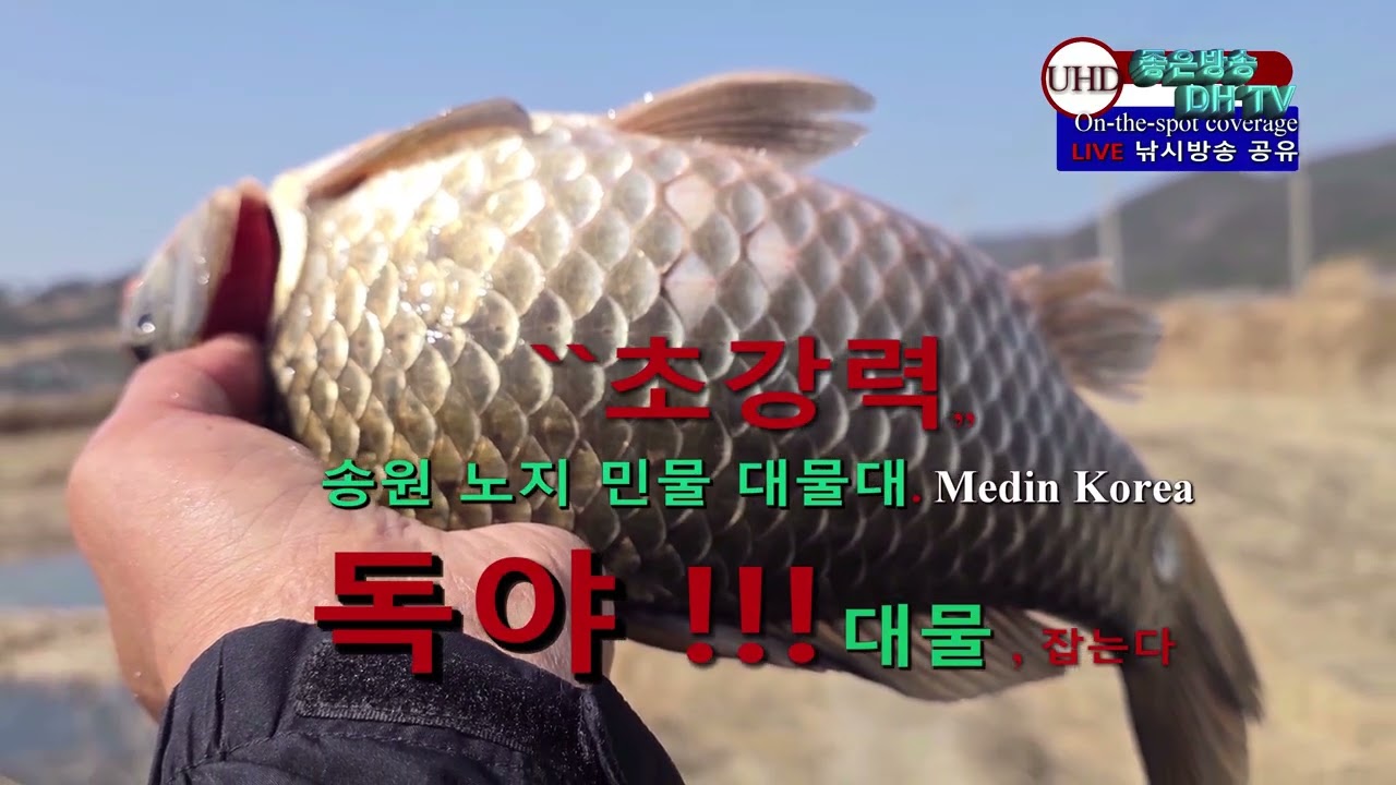 UHD주소정보채널 fishing 3월 노지 전투낚시 시즌  위치정보 LIVE 좋은방송 DH TV 제작 구독 좋아요