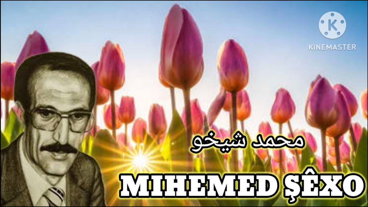 محمد شيخو  _ Mihemed ŞEXO