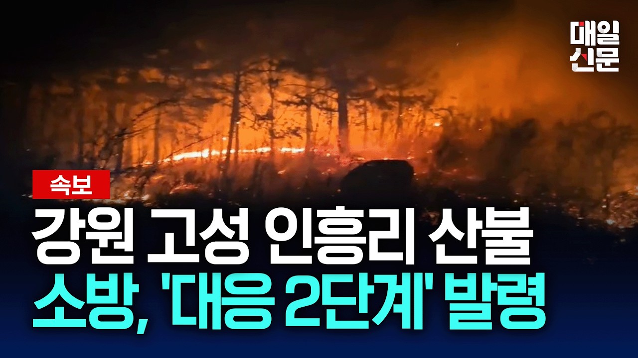 [속보] 강원 고성 인흥리 산불…소방당국, '대응 2단계' 발령